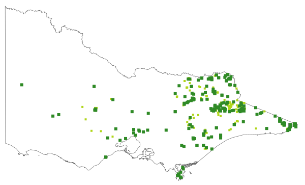 Grevillea lanigera (distribution map)