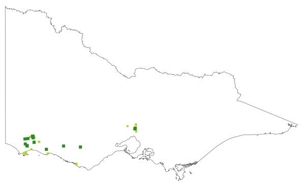 Carex tasmanica (distribution map)