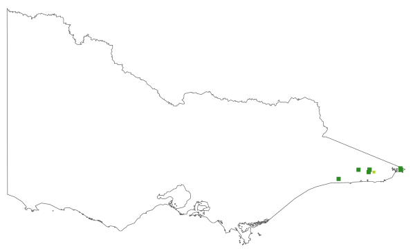 Sarcochilus falcatus (distribution map)