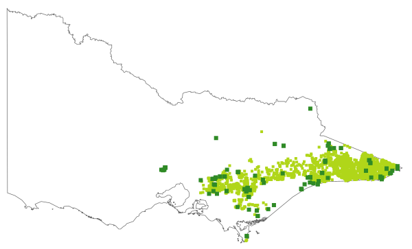 Eucalyptus sieberi (distribution map)
