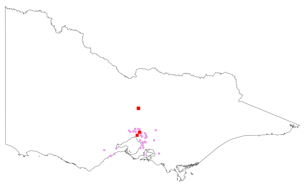 Melaleuca linariifolia (distribution map)