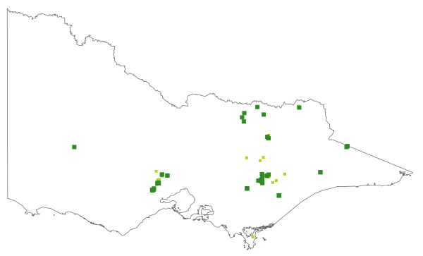 Prostanthera decussata (distribution map)