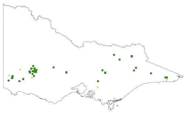 Bossiaea riparia (distribution map)