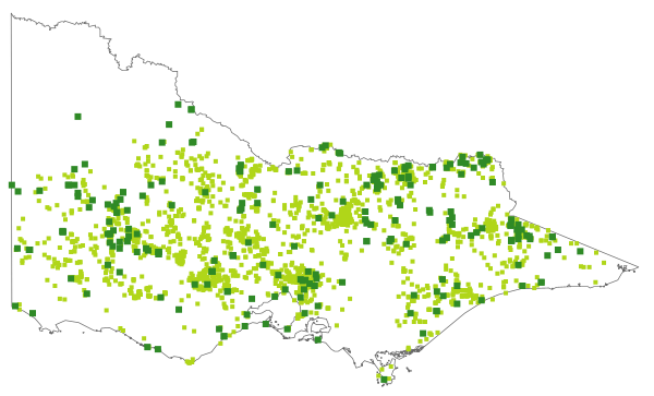Bulbine bulbosa (distribution map)