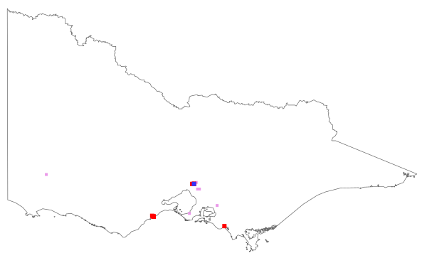 Melaleuca incana (distribution map)