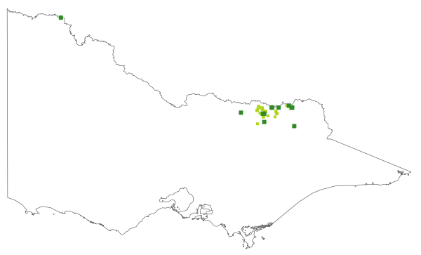 Indigofera adesmiifolia (distribution map)