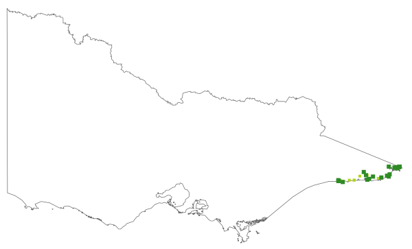 Styphelia esquamata (distribution map)