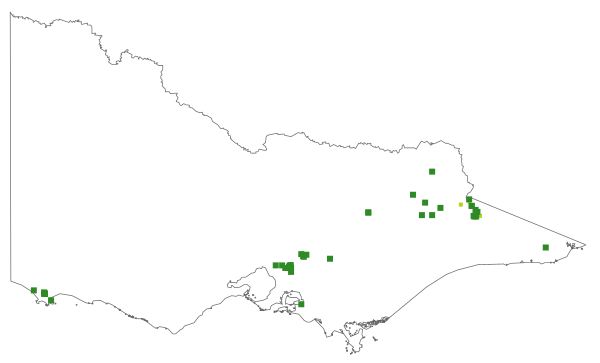 Caladenia flavovirens (distribution map)