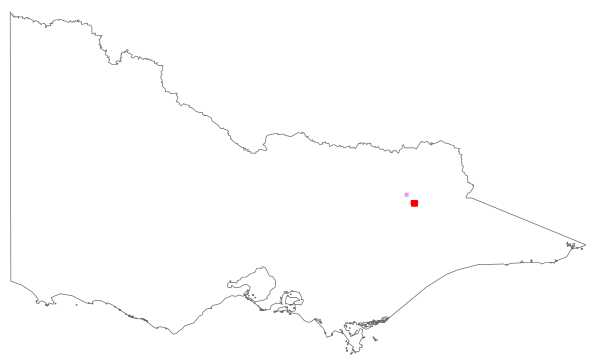 Pilosella piloselloides subsp. bauhinii (distribution map)