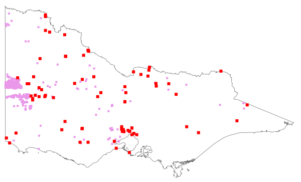 Salvia verbenaca var. verbenaca (distribution map)