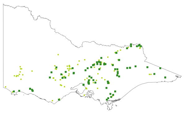 Montia fontana (distribution map)