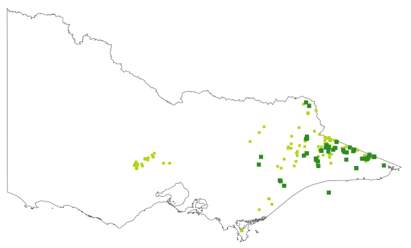 Bossiaea buxifolia (distribution map)