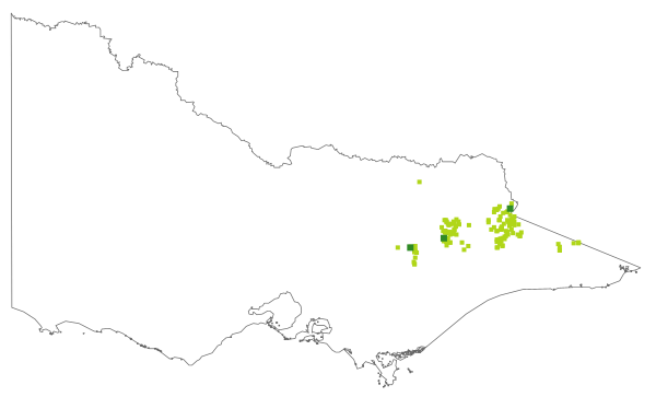 Juncus falcatus subsp. falcatus (distribution map)