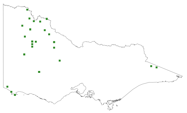Aloina bifrons (distribution map)