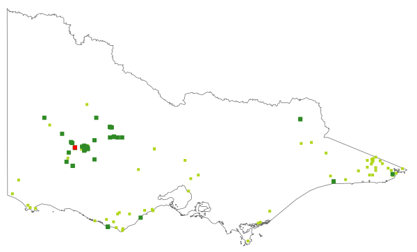 Caladenia reticulata (distribution map)