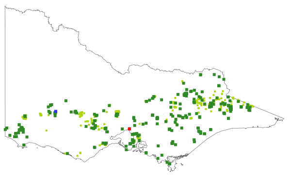 Eucalyptus pauciflora subsp. pauciflora (distribution map)