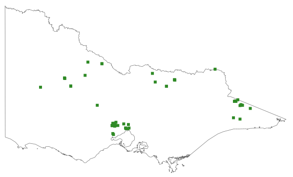 Dichanthium sericeum subsp. sericeum (distribution map)
