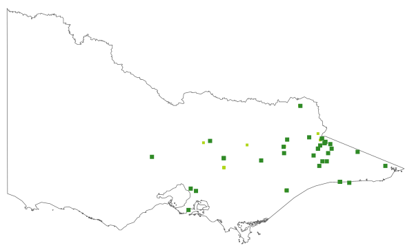 Isolepis gaudichaudiana (distribution map)