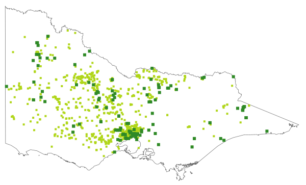 Wahlenbergia luteola (distribution map)