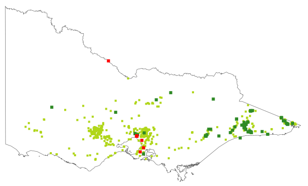 Acacia floribunda (distribution map)