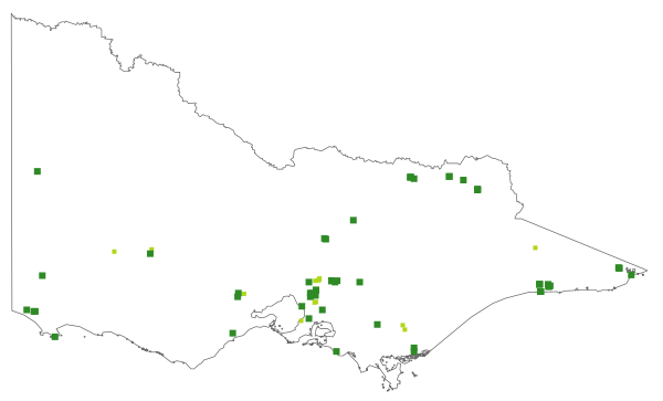 Pterostylis ×ingens (distribution map)