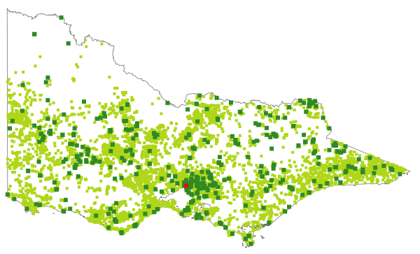 Bursaria spinosa (distribution map)