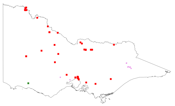 Sorghum halepense (distribution map)