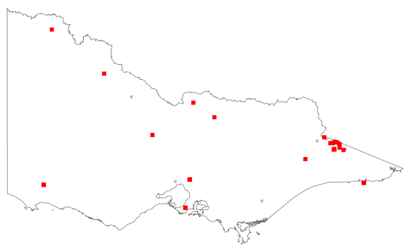Solanum triflorum (distribution map)