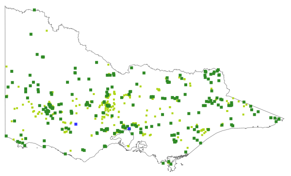Craspedia variabilis (distribution map)