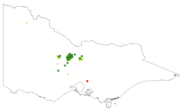 Acacia williamsonii (distribution map)