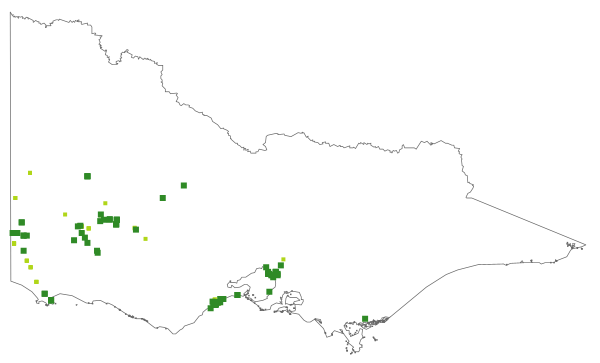 Caladenia venusta (distribution map)