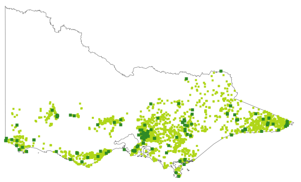 Poa tenera (distribution map)