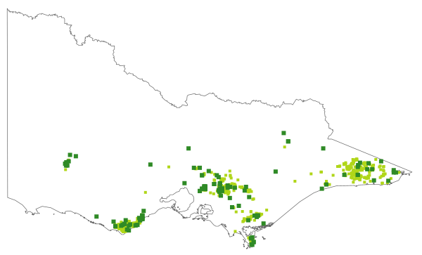 Rumohra adiantiformis (distribution map)
