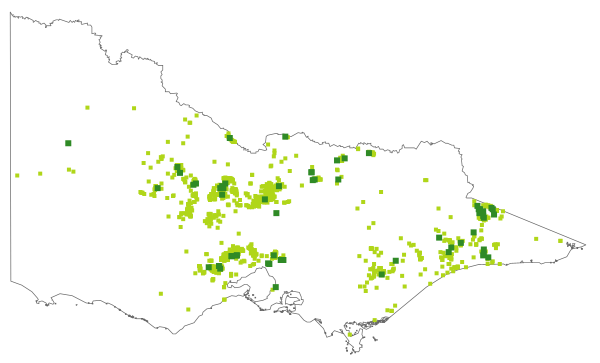 Einadia hastata (distribution map)