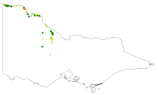 Asperula gemella (distribution map)