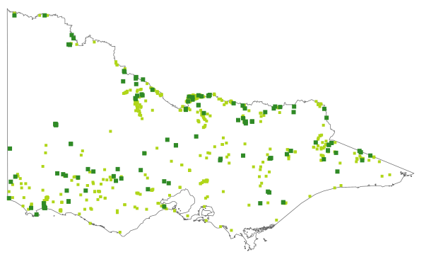 Stellaria angustifolia (distribution map)