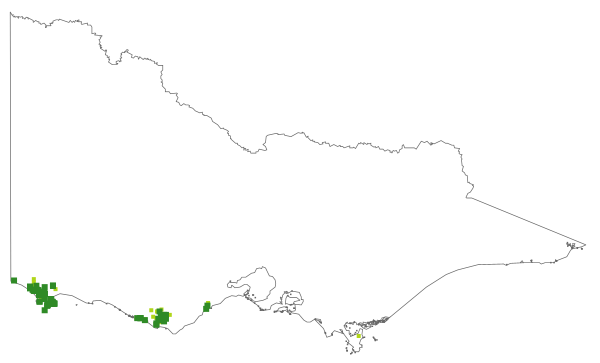 Pultenaea prolifera (distribution map)
