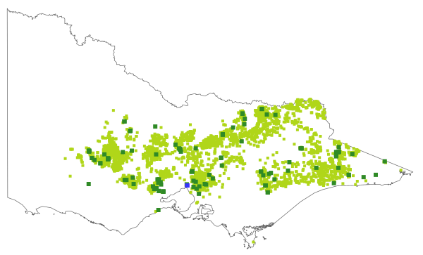 Eucalyptus macrorhyncha (distribution map)