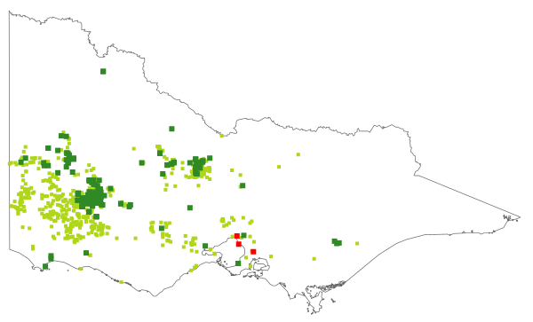 Melaleuca decussata (distribution map)