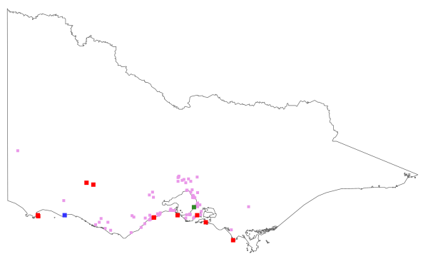 Hakea drupacea (distribution map)