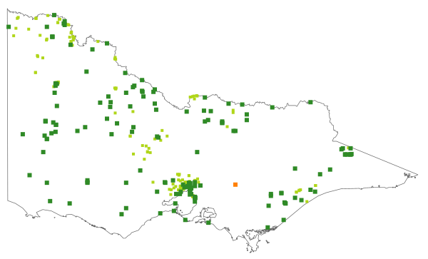 Einadia nutans subsp. nutans (distribution map)