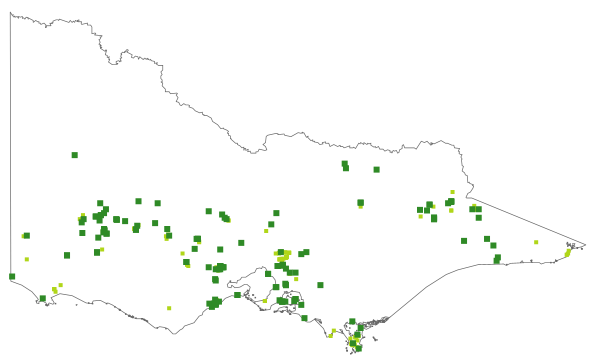 Caladenia clavigera (distribution map)