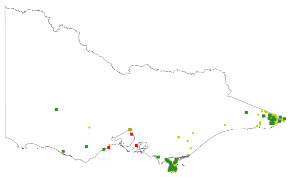 Kunzea ambigua (distribution map)