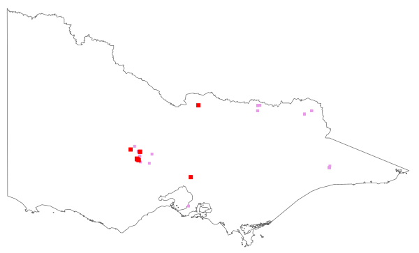 Onopordum illyricum (distribution map)