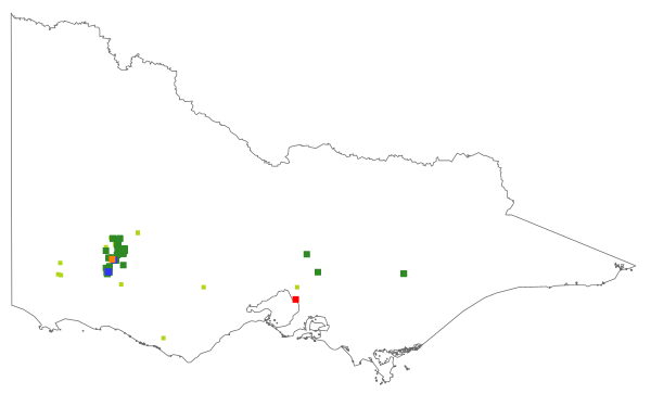 Eucalyptus verrucata (distribution map)