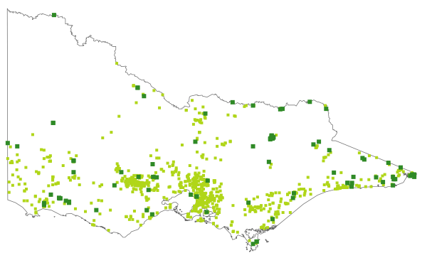 Eleocharis sphacelata (distribution map)