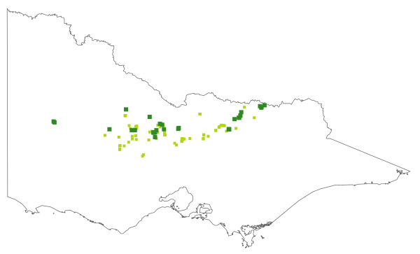 Acacia difformis (distribution map)