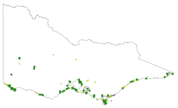 Caladenia latifolia (distribution map)