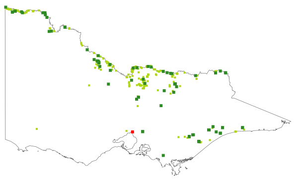 Ludwigia peploides (distribution map)