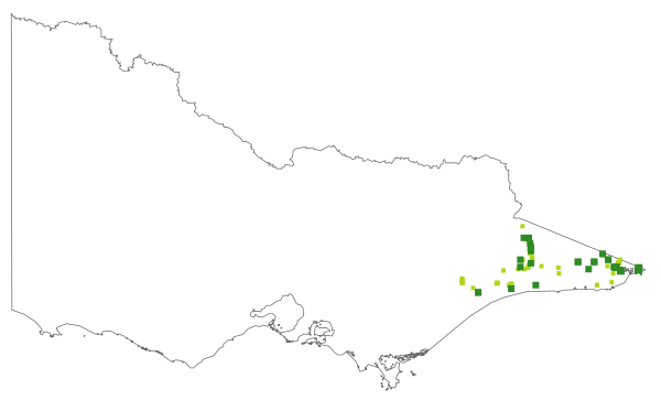 Dendrobium striolatum (distribution map)